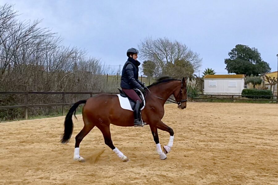 Next Level Riding: 13th Ride