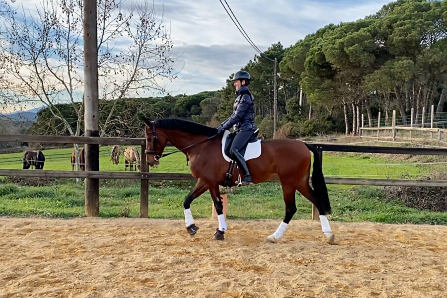 Next Level Riding: Fourth Webinar