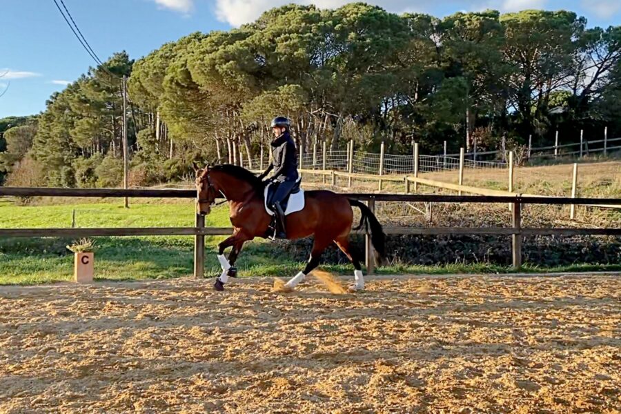 Next Level Riding: 11th Ride