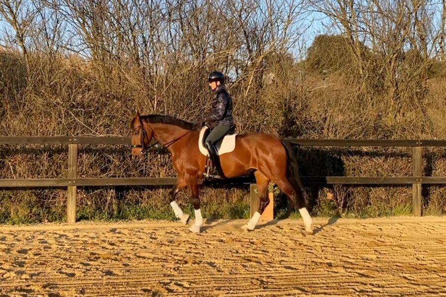 Next Level Riding: 12th Ride