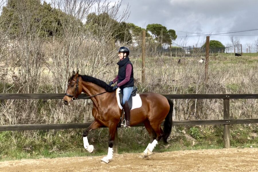 Next Level Riding Course: 8th Webinar