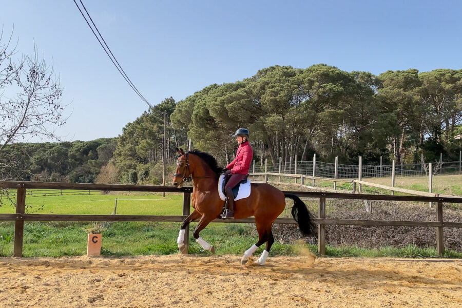 Next Level Riding Course: 26th Ride