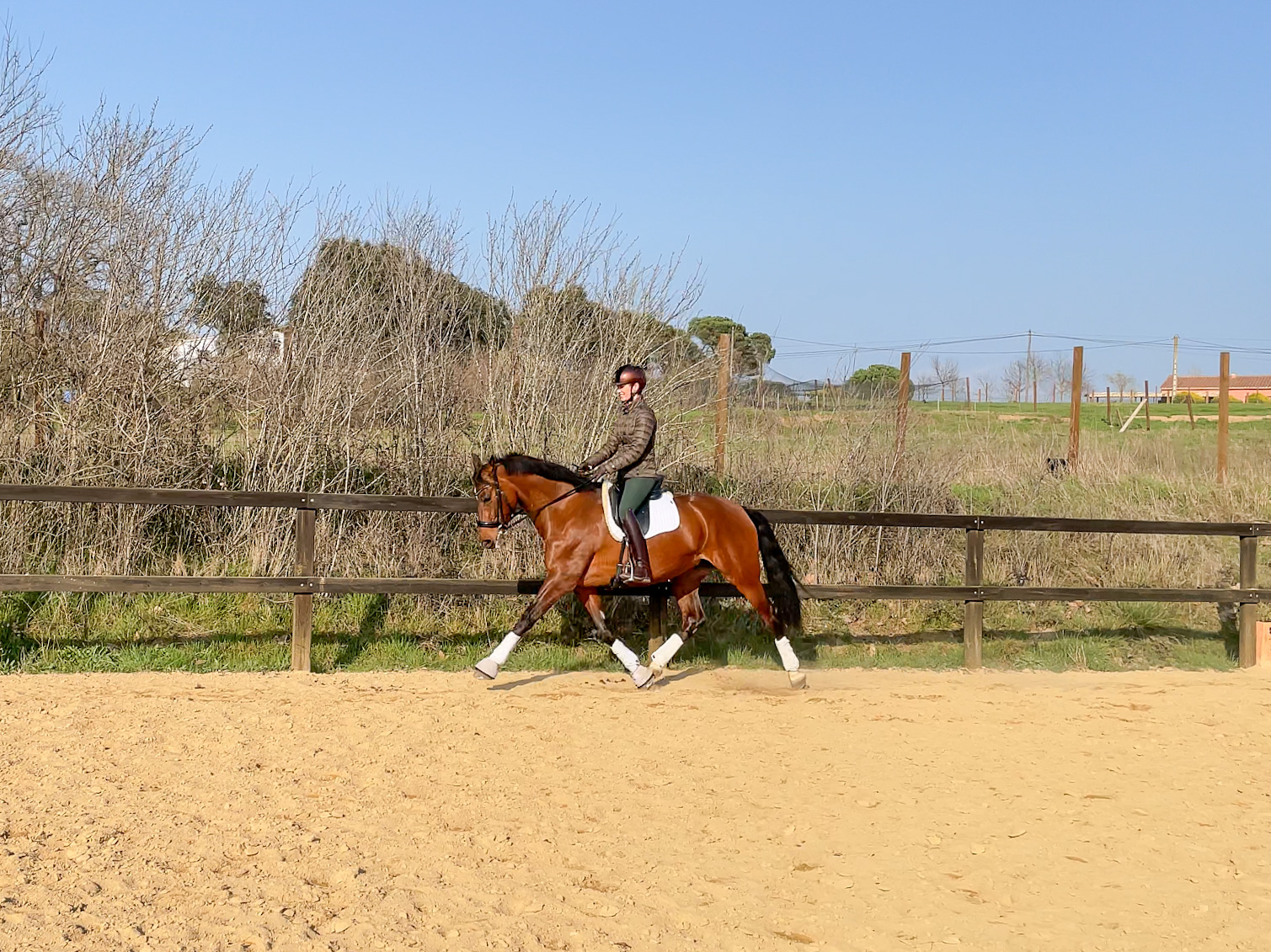 Next Level Riding Course: 27th Ride – First trot extensions
