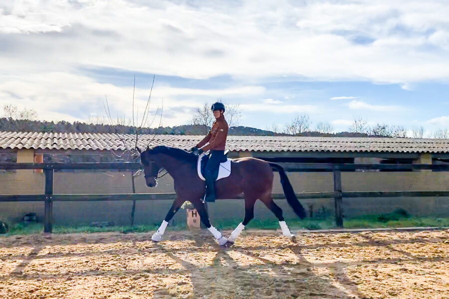 Next Level Riding: 7th Webinar