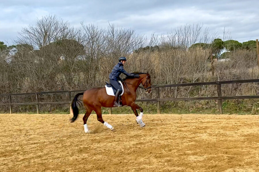 Next Level Riding Course: 21st Ride