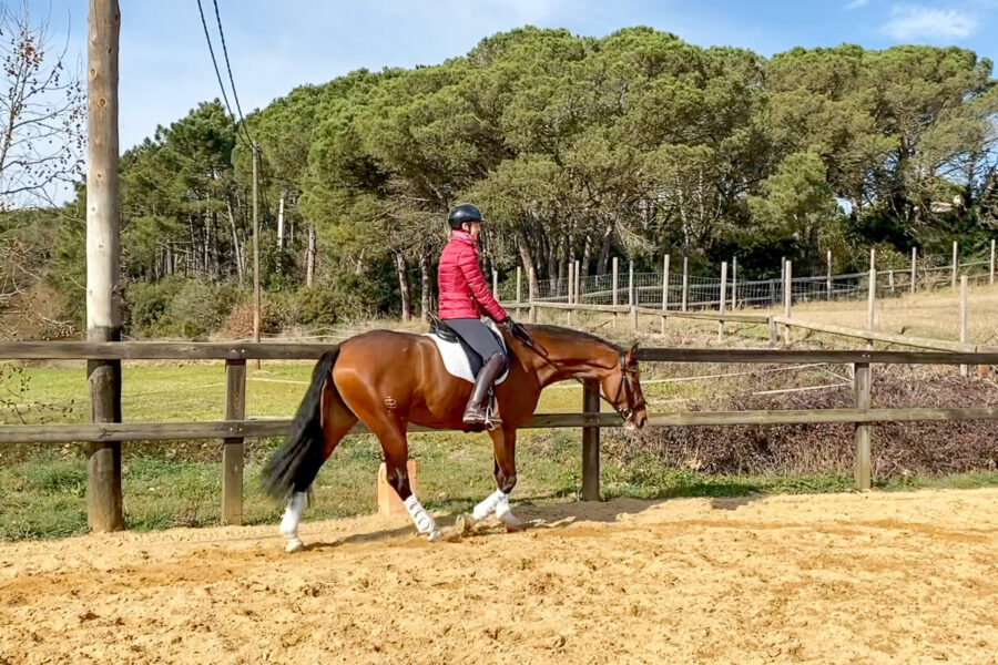Next Level Riding Course: 22nd Ride