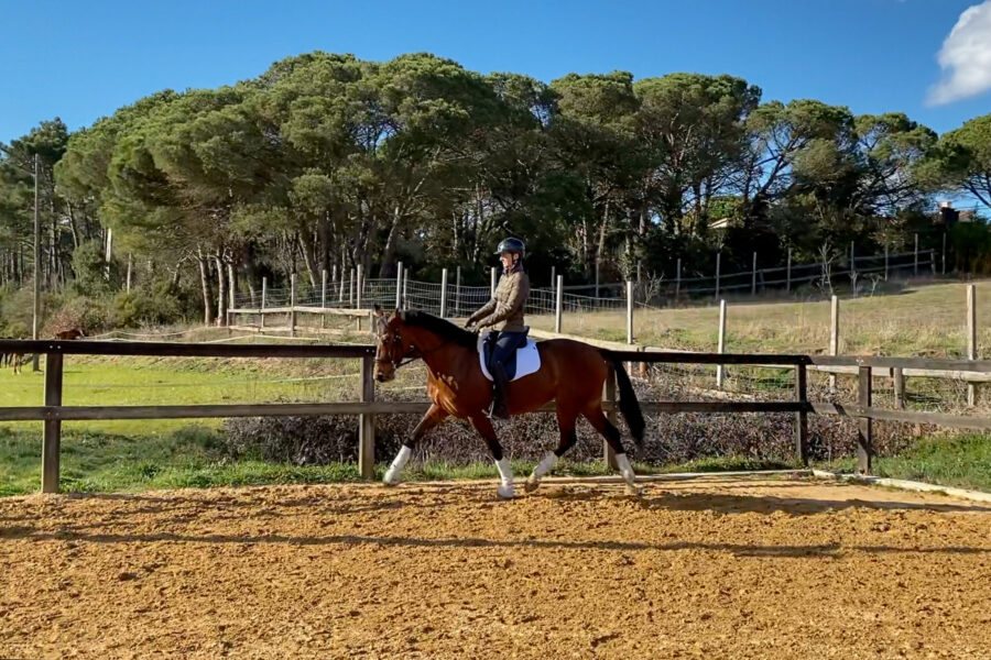 Next Level Riding Course: 24th Ride