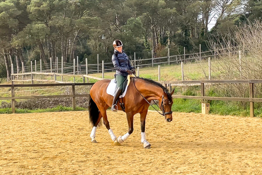 Next Level Riding Course: 29th Ride – First Walk Pirouettes