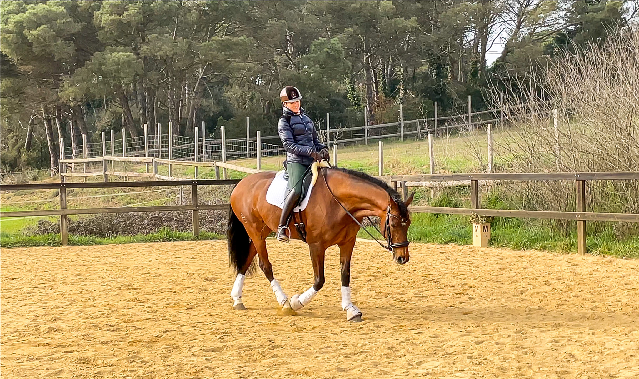 Next Level Riding Course: 29th Ride – First Walk Pirouettes