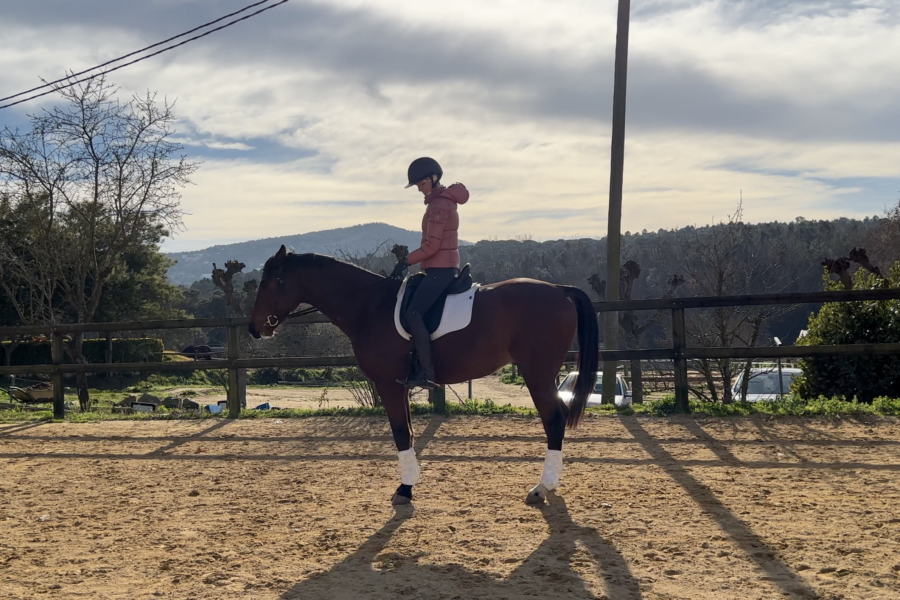 MODULE 8: Relaxation in Movement Forward