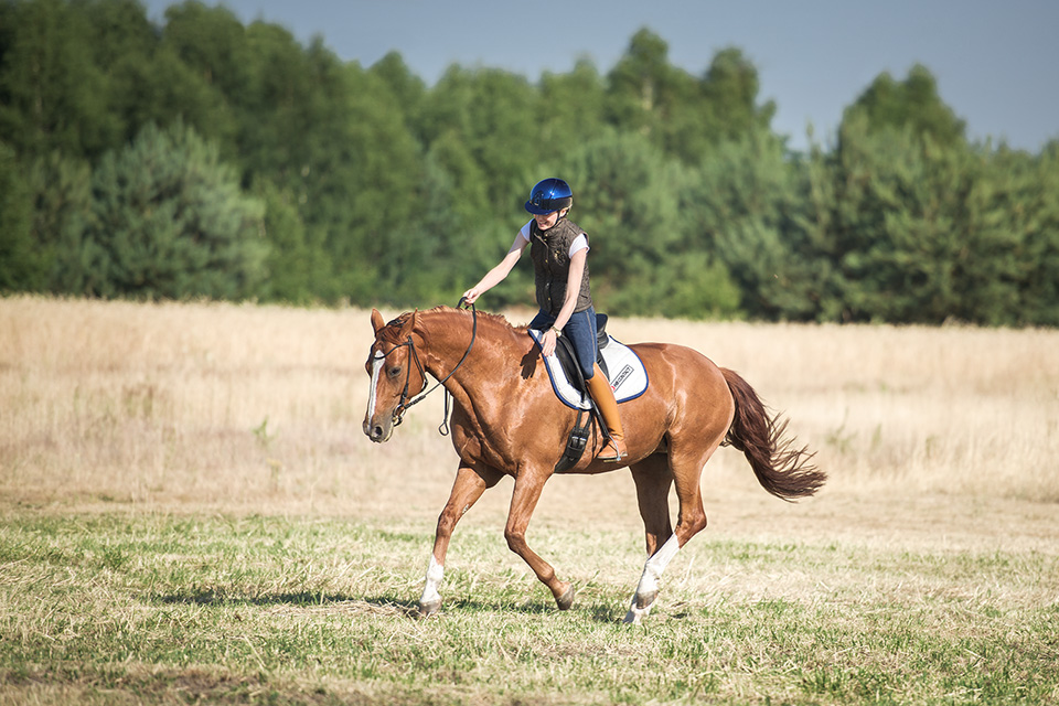 CHAPTER 10: Stabilising Seat in Walk & Canter