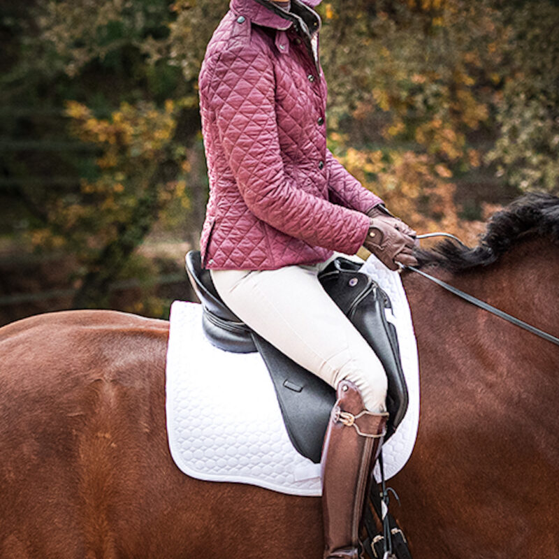 ANNA'S RIDING METHOD. MODULE 3: HANDS & CONTACT