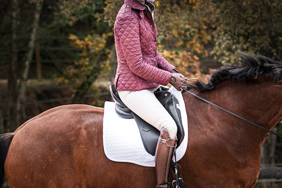 CHAPTER 1: Why Do Riders Bounce in the Saddle in the Sitting Trot?