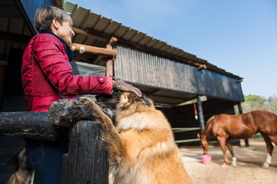 Real-Life Sessions with Horses
