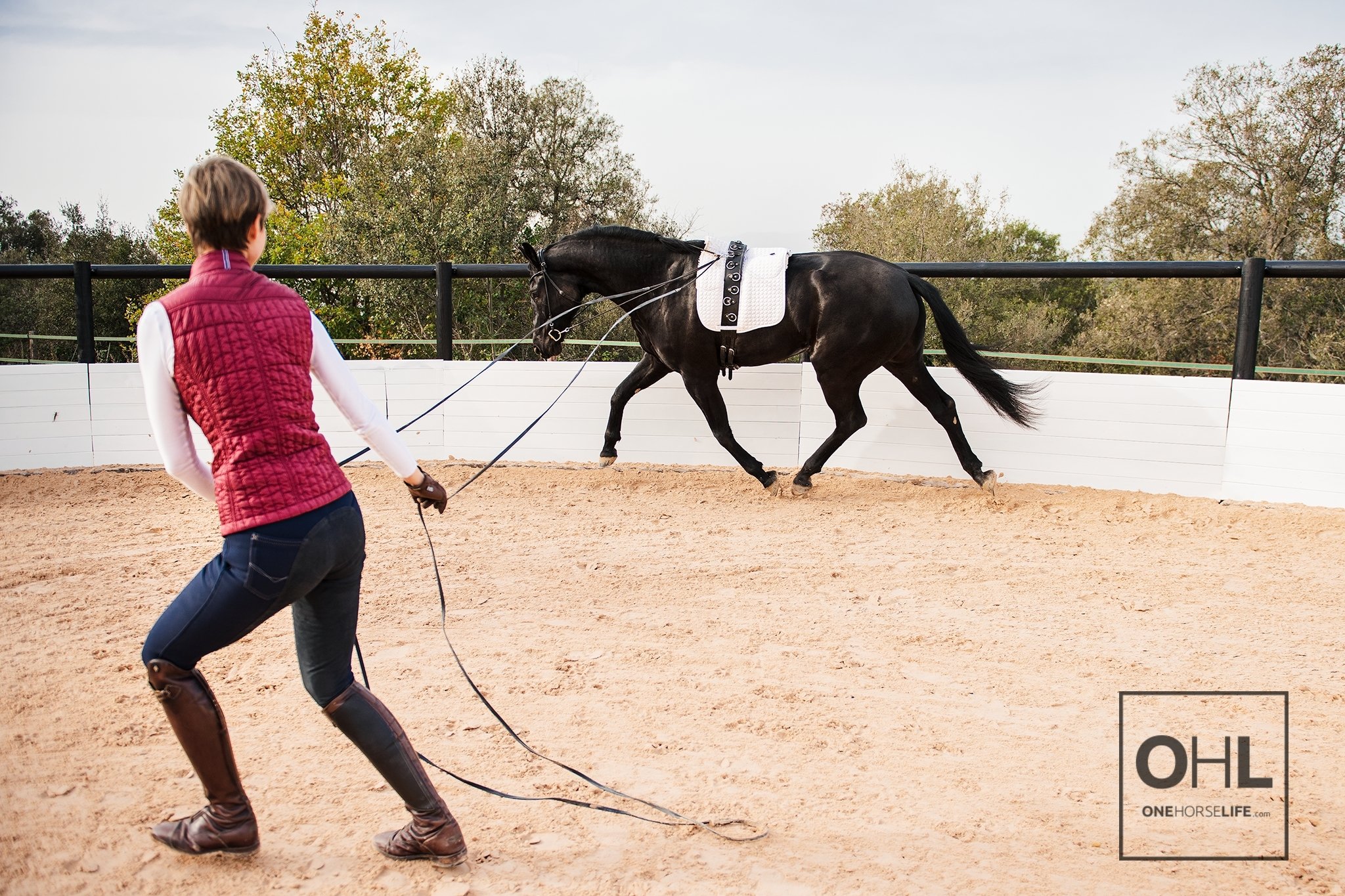 Residual Tensions Release Therapy Long Reins Online Course