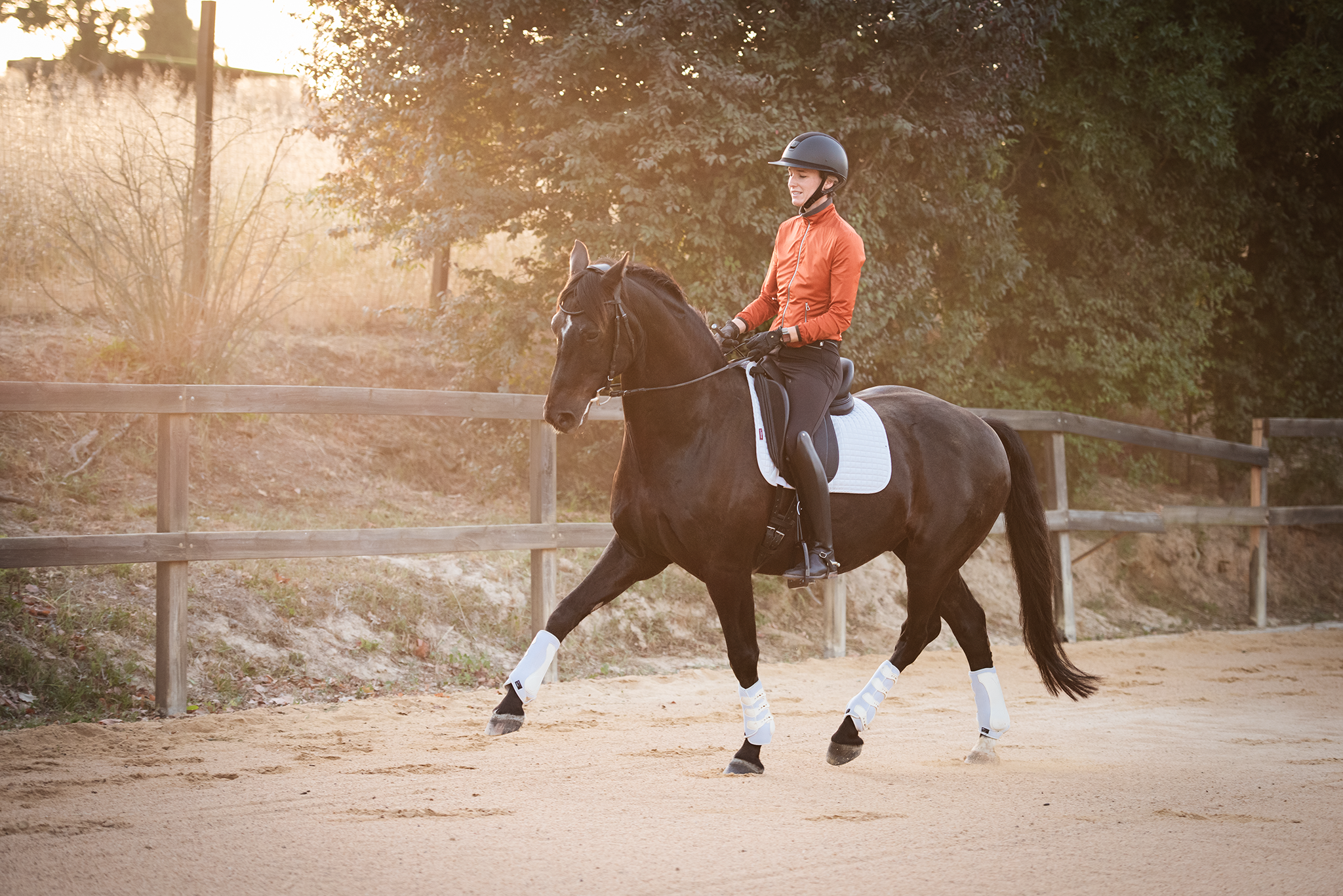 CHAPTER 5: Why Are Some Horses Easier and Others More Difficult to Ride in a Sitting Trot