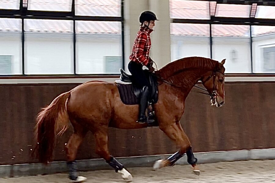 Anna’s Riding Method: Module 6, e-Book files [EN + PL]