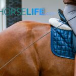 Relaxation Across the Spectrum of Movement: OneHorseLife