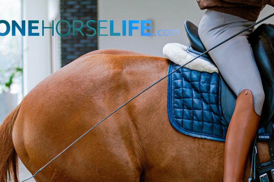 Relaxation Across the Spectrum of Movement: OneHorseLife