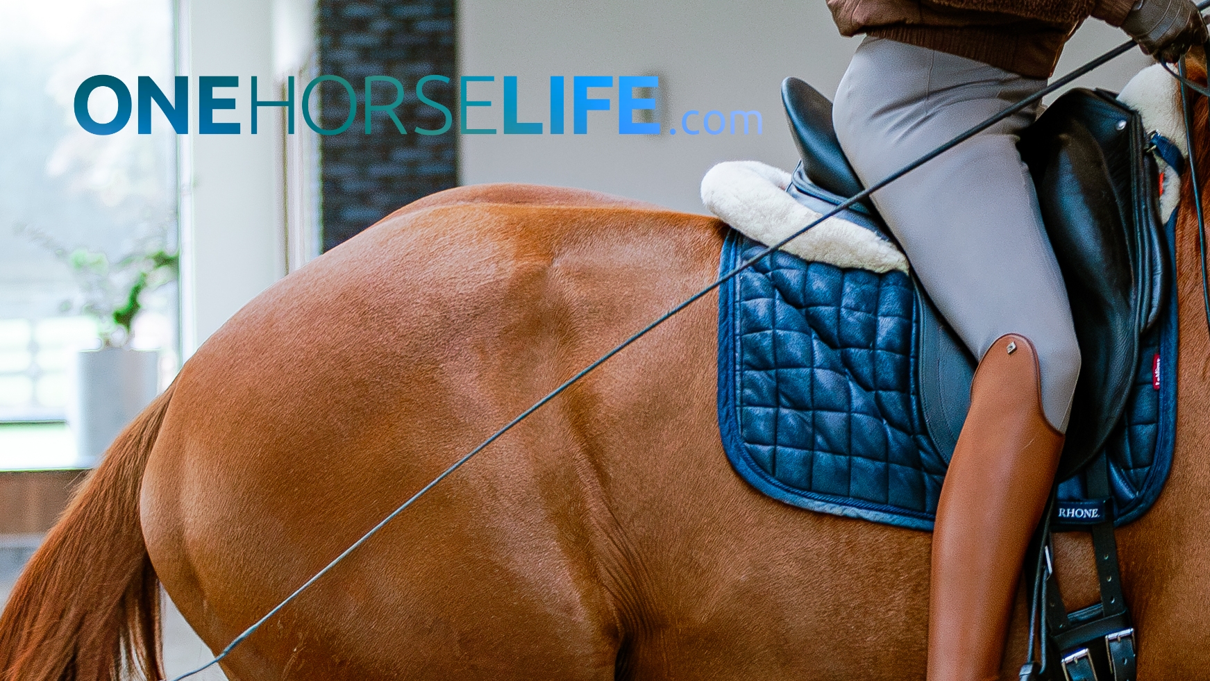 Relaxation Across the Spectrum of Movement: OneHorseLife