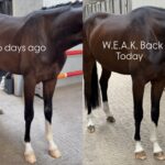 Break Free from the Dark Ages with the 16-Week W.E.A.K. Back Revolution