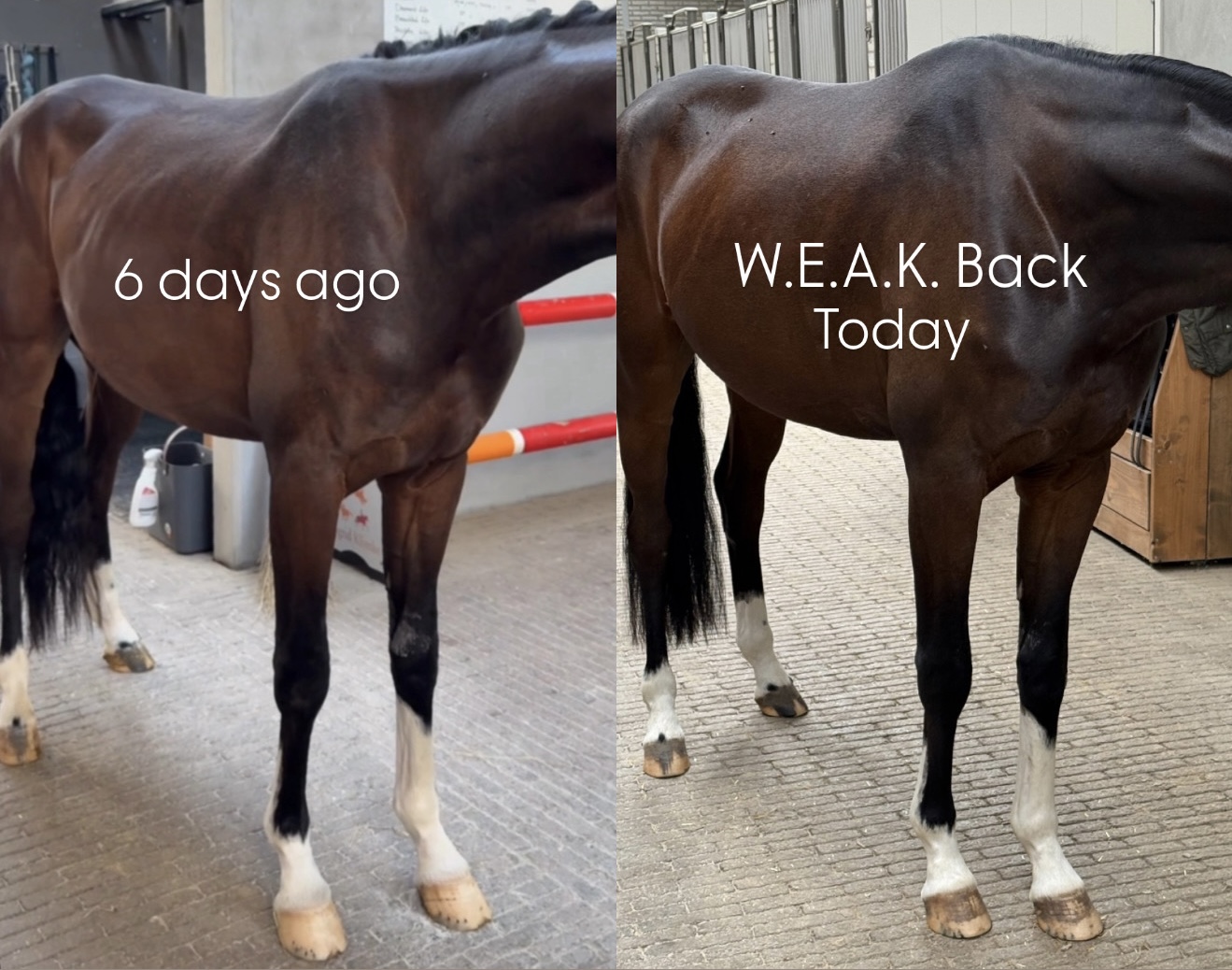 Break Free from the Dark Ages with the 16-Week W.E.A.K. Back Revolution