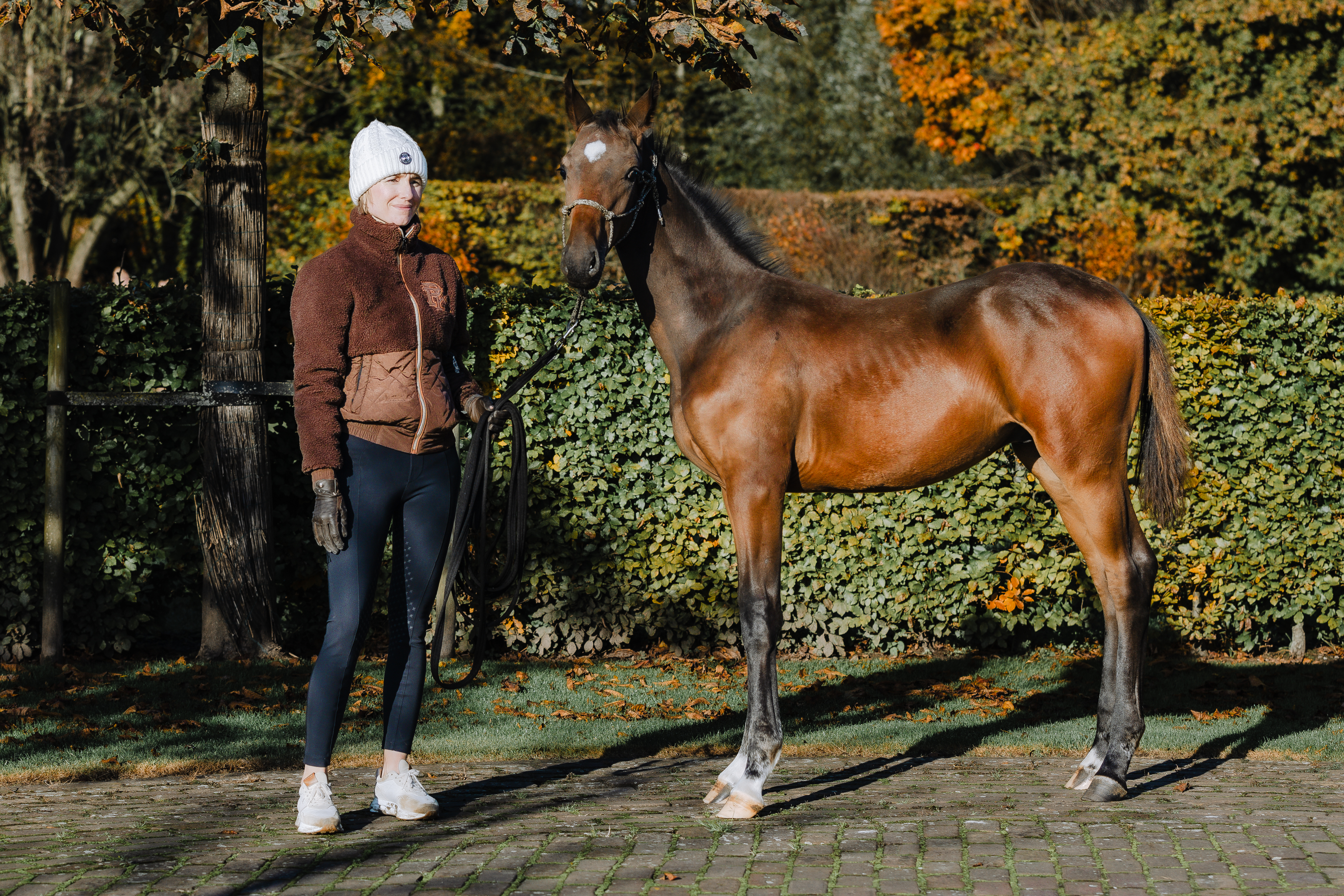 Young Horse Training: The Superstition That Costs Horses Their Future