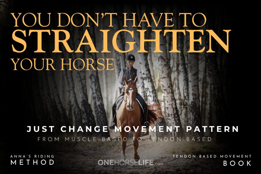 Your Horse is Not Crooked — He Moves Using Wrong Movement System