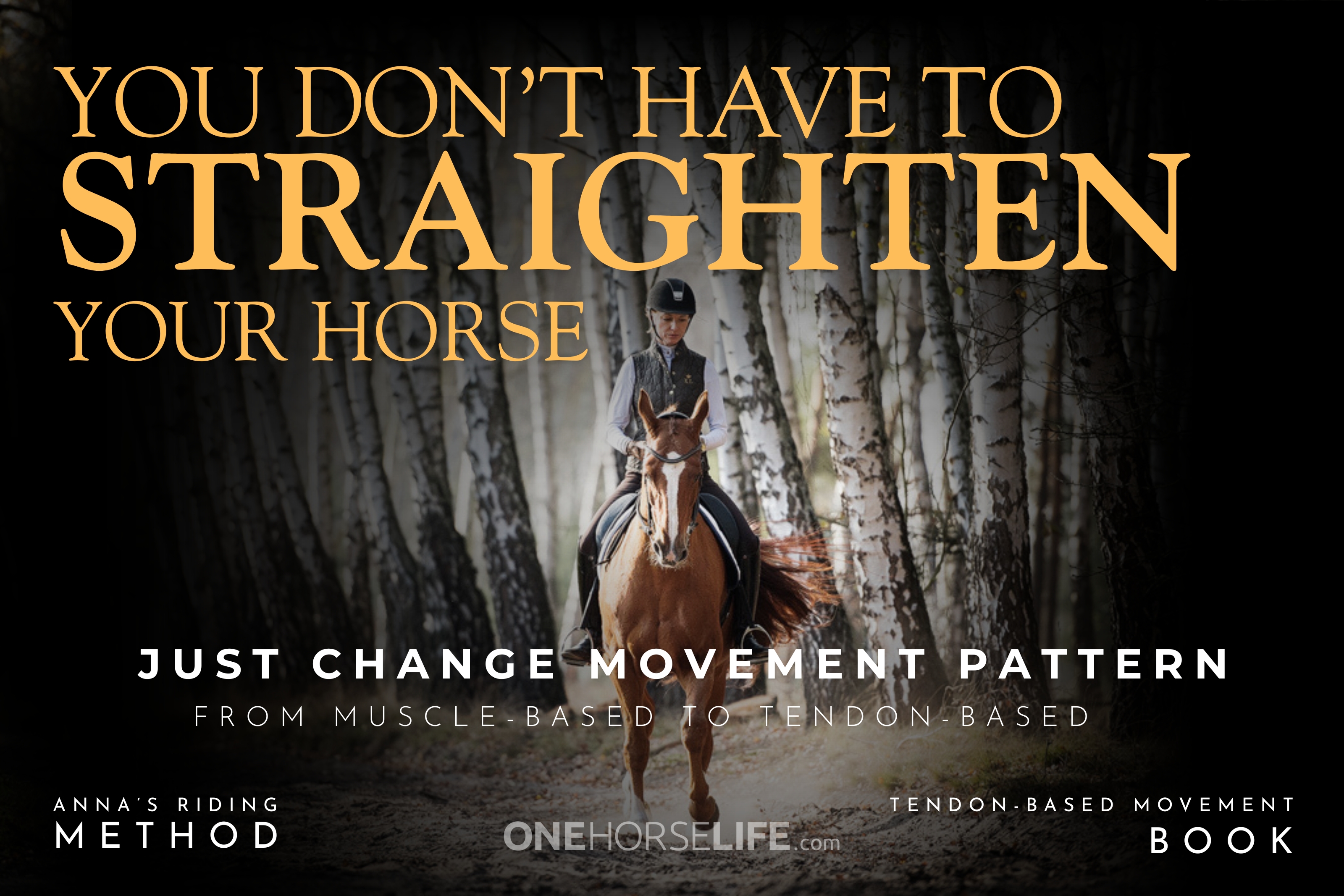 Your Horse is Not Crooked — He Moves Using Wrong Movement System