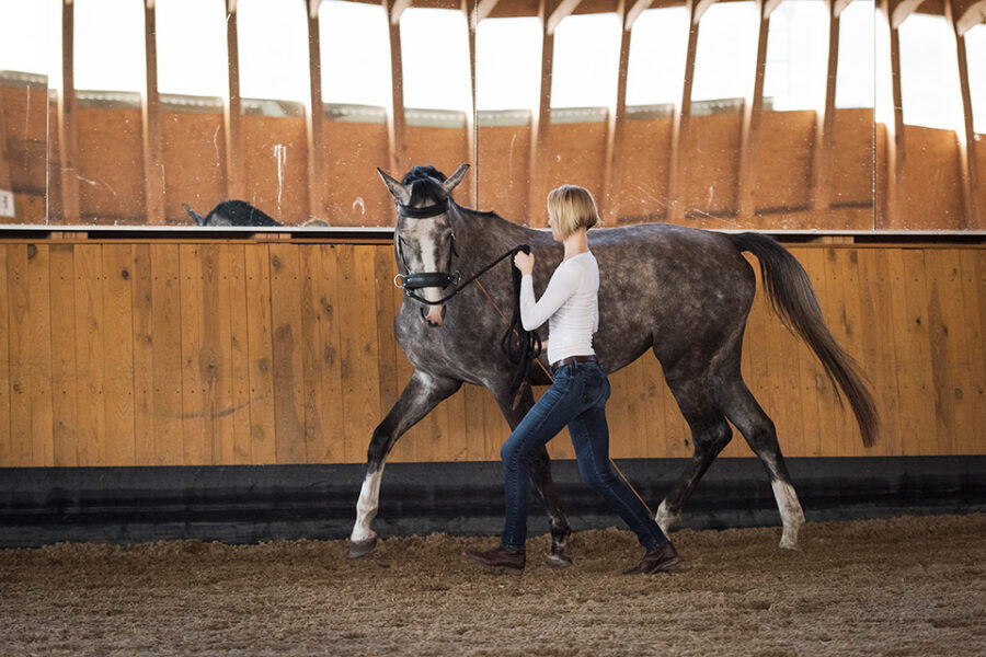 Natural Balance: From Static to Movement