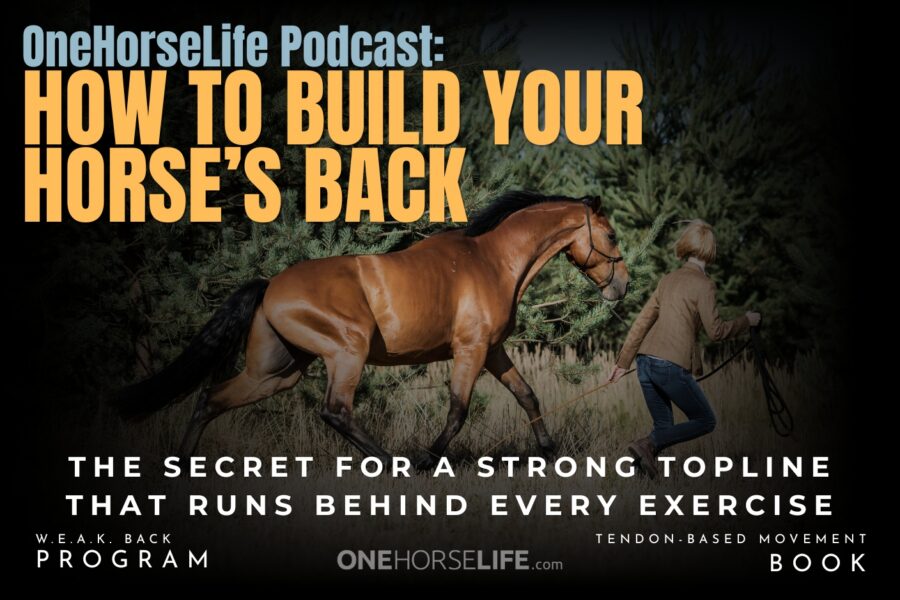 Your Horse’s Topline Won’t Change Until You Fix This Canter Mistake